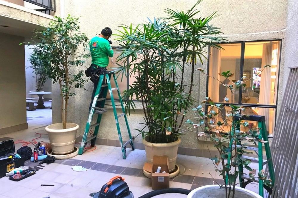 Vinyl Window Replacement