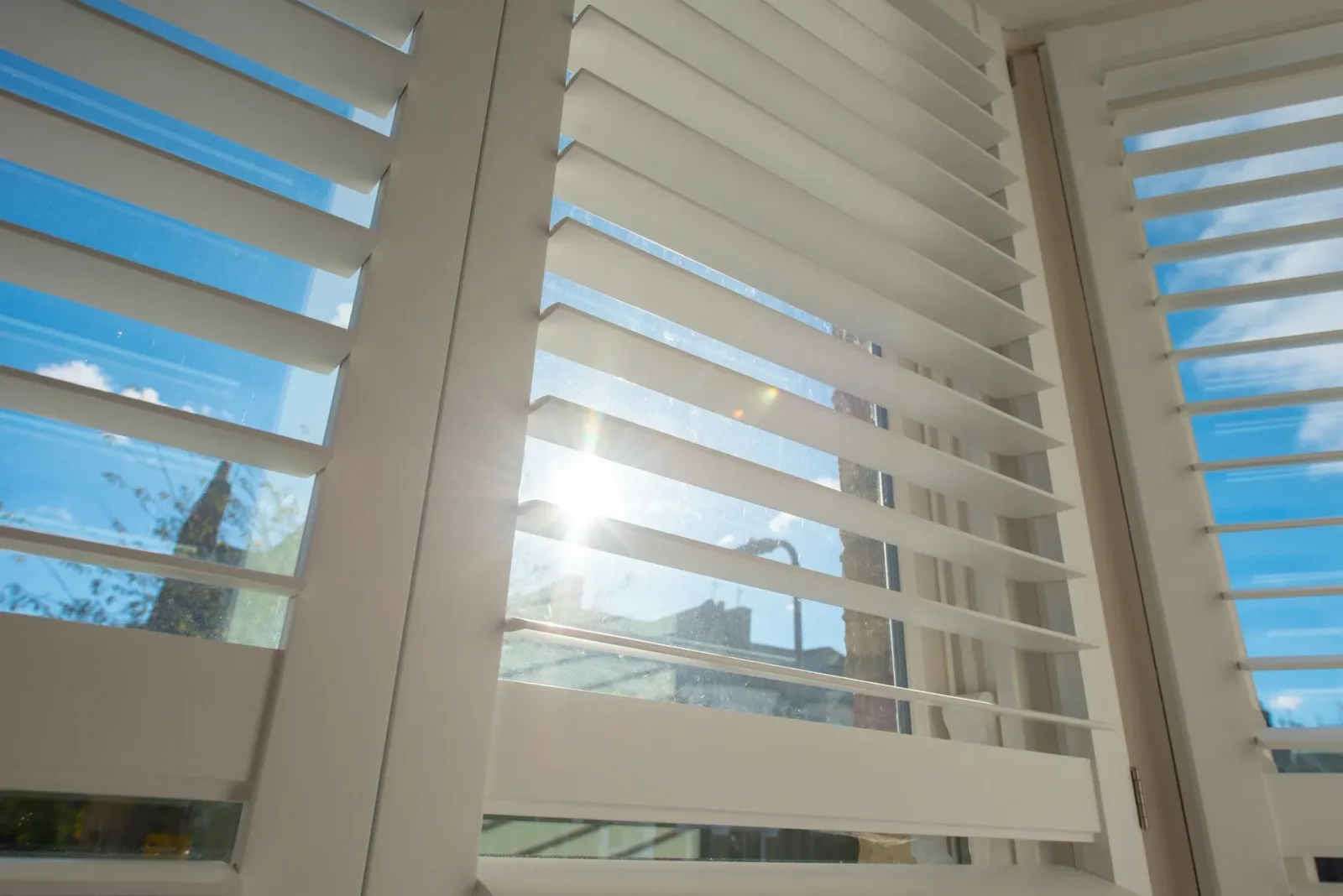 Shop-at-Home Window Covering Consultation