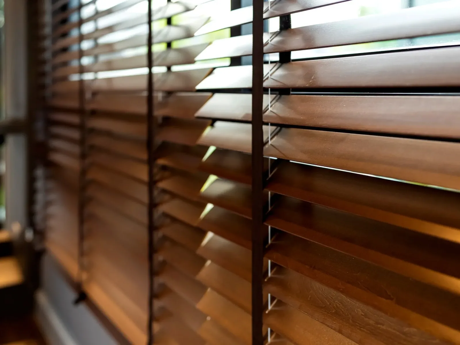 Shop-at-Home Window Covering Consultation