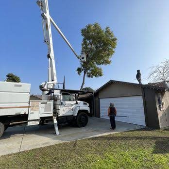 24/7 Emergency Tree Service