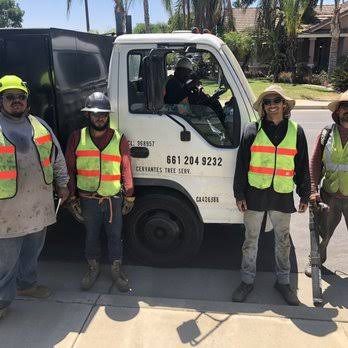 24/7 Emergency Tree Service
