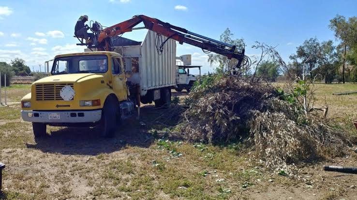 General Clean-Ups & Hauling