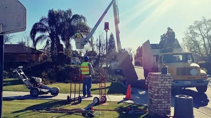 CERVANTES TREE SERVICE project photo